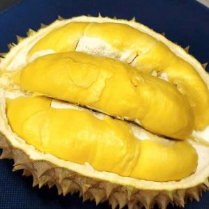 bibit buah Bibit Durian Unggul Bawor Okulasi Tanjung Jabung Timur