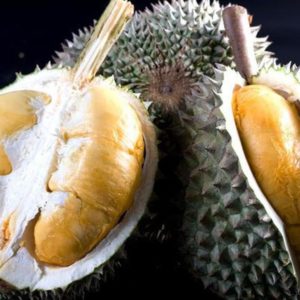 Bibit Durian Duri Hitam Deiyai